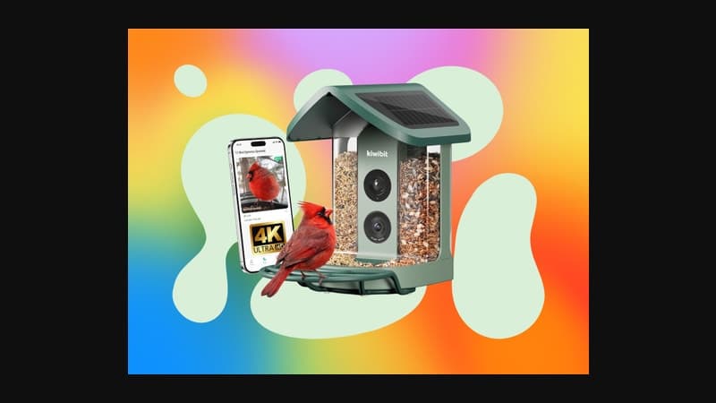 Best Prime Day Smart Bird Feeder Deals (2026)