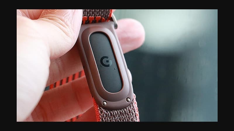 Google's Fitbit Edge leaks out with a screen and Pixel 11 colors